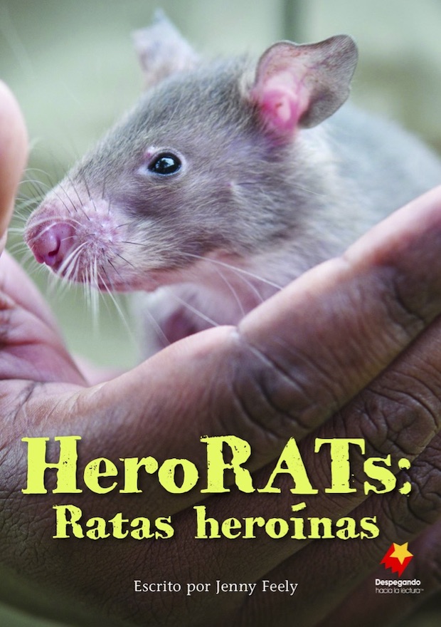 HeroRats: Ratas heroínas